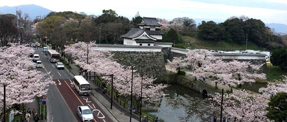 福岡城跡と大濠
