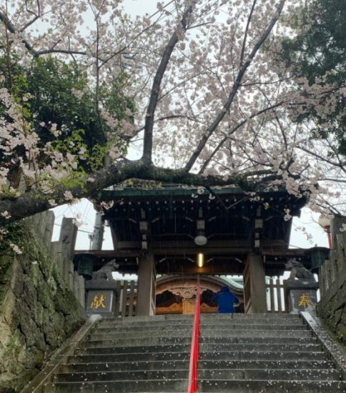 『愛宕神社』と『宇賀神社』『正一位伏見宇之目稲荷神社』に参拝してきました。